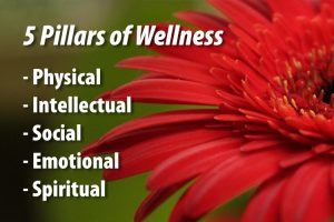 Bella Vita 5 pillars of wellness