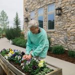 woman planting flowers