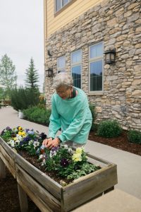 woman planting flowers